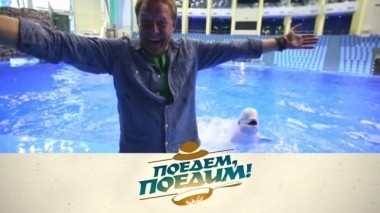 Владивосток: встреча с белухами и амурским тигром, стеклянный пляж и дальневосточный молочный суп 21.10.2017