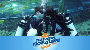 Югра: подводная свадьба с акулами, рисунки нефтью, киса и оленина в бересте с пшенным ризотто 24.03.2020