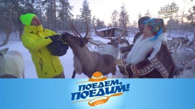 Югра: в гостях у оленеводов, сибирский замес и рагу из лося 15.12.2023