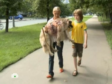 Бойня в ветлечебнице 04.04.2012