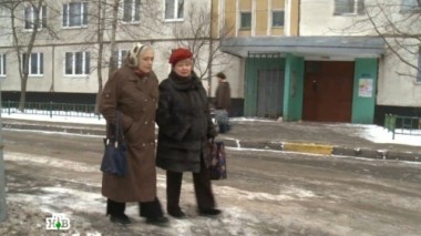 День сурка 10.11.2014