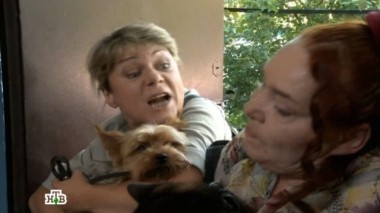 Похитители собак 24.08.2014