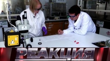 Новые факты из британского Солсбери и базы НАТО на Украине 04.09.2018