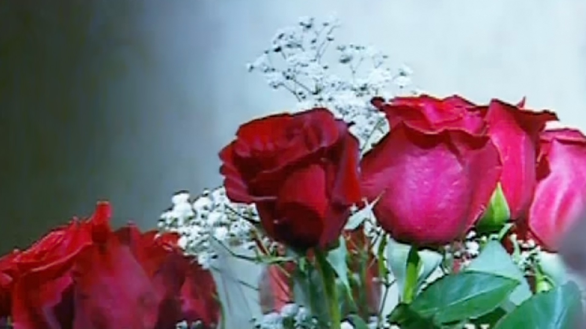 Розы для Эльзы