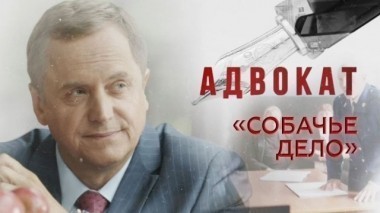 Собачье дело 10.01.2018