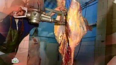 Деньги, мясо и любовь 26.01.2019