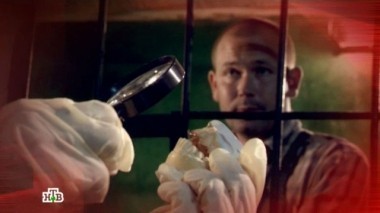 Ее последний портрет 31.08.2017