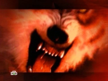 Ночная тварь 31.08.2012