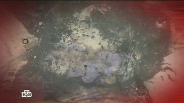 Поклонник 03.11.2018