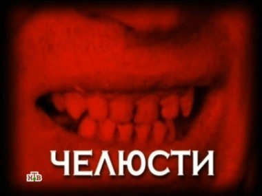 Середина 70-х. В городе Александрове Владимирской области объявился необычный серийный убийца 23.03.2012