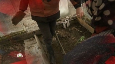 Смерть на грядках 13.05.2017