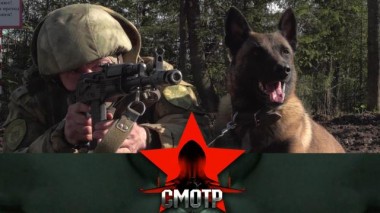 Подготовка командиров инженерных подразделений Росгвардии. 14.09.2022