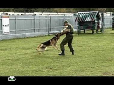 Собачья служба: кинологи дивизии Дзержинского  31.12.2011