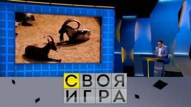 Участники: Евгений Марьенко, Александр Успанов, Иван Агапов 21.06.2023