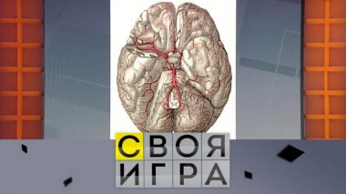 Участники: Сергей Евдокимов, Александр Рождествин, Евгения Атькова 24.02.2022
