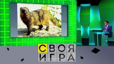 Участники: Станислав Гусаинов, Евгений Калюков, Анастасия Тимофеева 17.11.2022