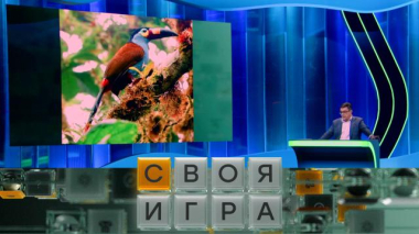 Участники: Алексей Фунтов, Денис Новобыховец, Сергей Дымский 11.06.2026