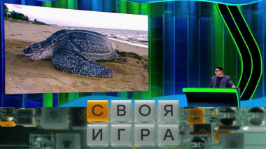 Участники: Алексей Степурин, Ева Берг, Сергей Смирнов 11.02.2026