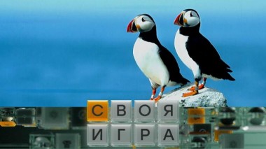 Участники: Дмитрий Маркович, Леонид Грук, Роман Рзаев 05.03.2025