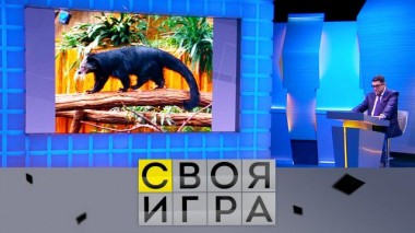 Участники: Евгений Быстров, Сергей Смирнов, Виктория Штратникова 31.01.2024