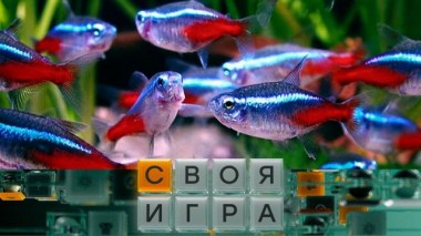 Участники: Игорь Мокин, Владимир Полозов, Константин Шлыков 05.09.2024