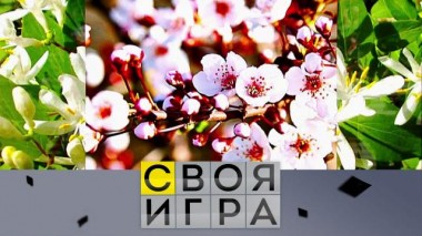 Участники: Никита Сапрыкин, Виктор Моисеев, Евгений Скитович 14.03.2024