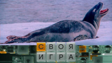 Своя игра / Выпуск от 12 апреля 2026 года / 09.04.2026