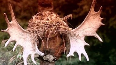 Камчатка. Древние технологии работают до сих пор? 19.01.2017