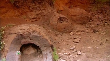 Рептилоиды среди нас? 02.02.2017