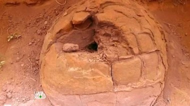 Саратовская область: Гнездо реликтовых змеев? 15.09.2016