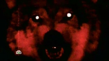 Тамбовская область. Оборотни рядом с нами? 12.02.2017