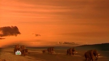 Якутия. Живые мамонты? 22.01.2017