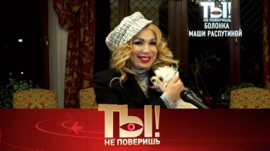 Болонка Маши Распутиной, Павел Прилучный на процедурах и новая любовь Анфисы Чеховой 14.10.2023