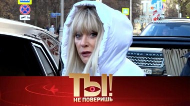 Выпуск от 11 ноября 2023 года 11.11.2023