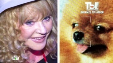 Жених для собачки Примадонны, растяжка Волочковой и как Дана Борисова отмечает развод 21.05.2016