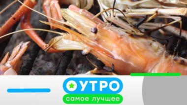 1 апреля 2020 года 31.03.2020