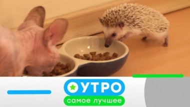 1 августа 2019 года 31.07.2019