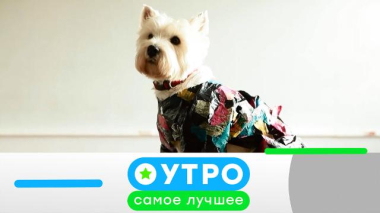 1 июля 2026 года 01.07.2026