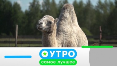 10 апреля 2020 года 09.04.2020