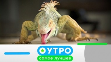 10 декабря 2019 года 09.12.2019