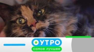 10 июля 2019 года 09.07.2019