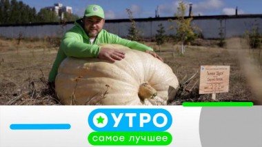 11 апреля 2024 года 11.04.2024