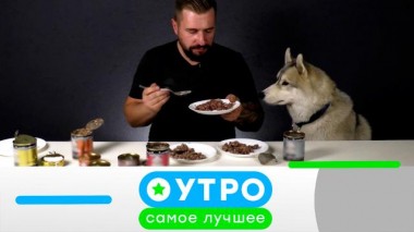 11 августа 2025 года 11.08.2025