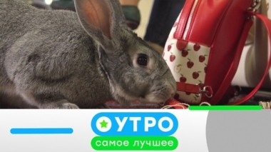 11 июня 2019 года 10.06.2019