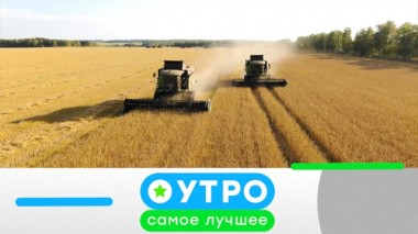 11 июня 2020 года 11.06.2020