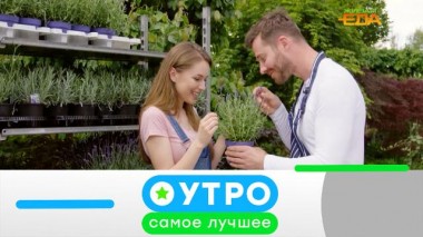 11 июня 2024 года 11.06.2024