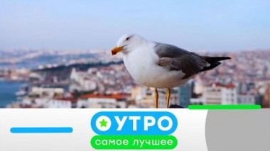 11 марта 2024 года 11.03.2024