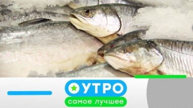 11 октября 2019 года 11.10.2019