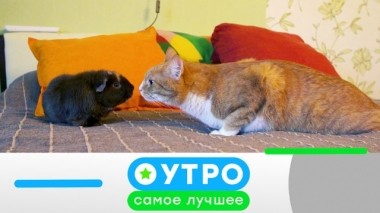 12 августа 2019 года 11.08.2019