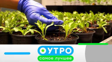 12 октября 2026 года 12.10.2026